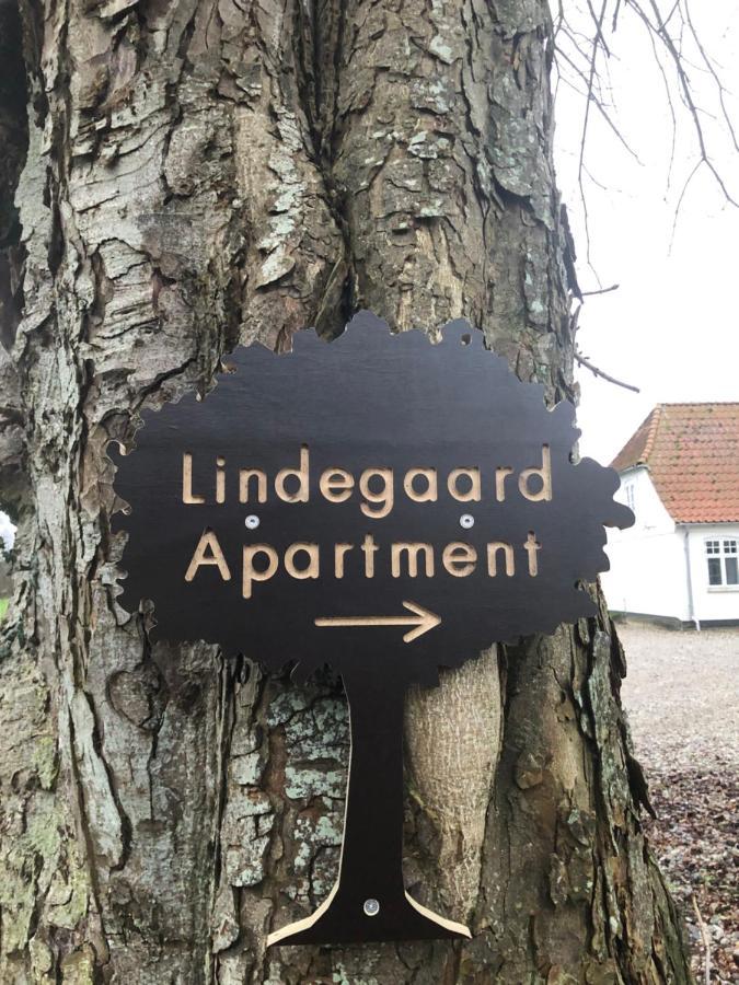 Lindegaardapartment - Woods And Sea Hejls Kültér fotó