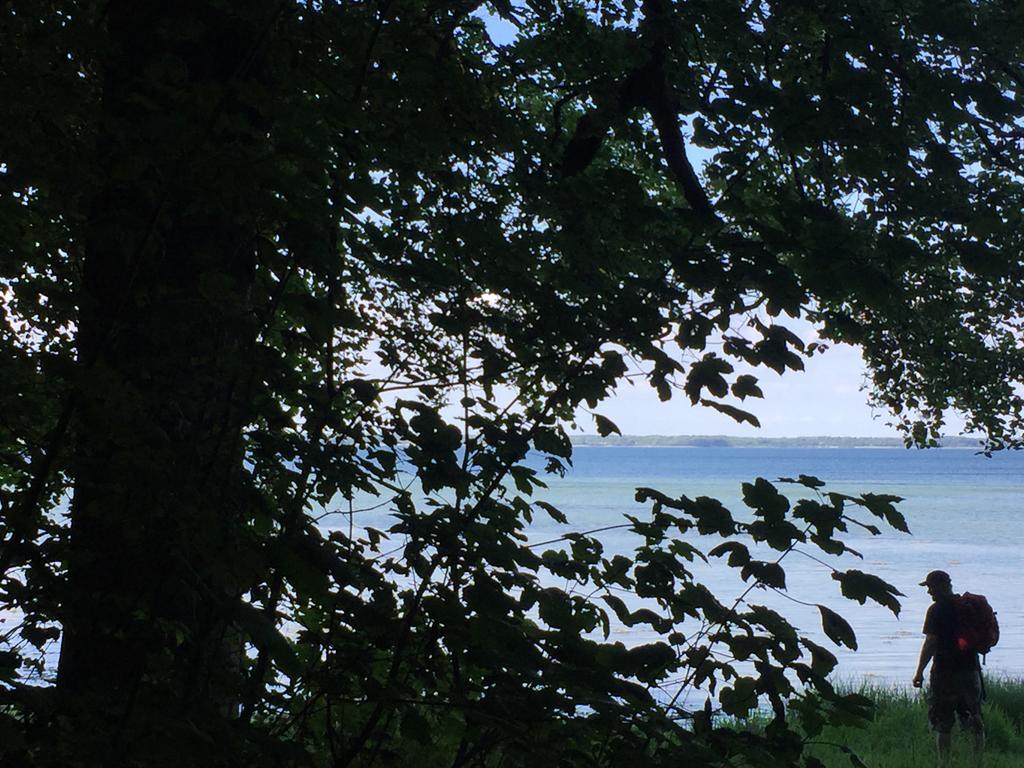 Lindegaardapartment - Woods And Sea Hejls Kültér fotó